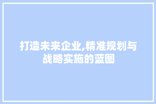 打造未来企业,精准规划与战略实施的蓝图