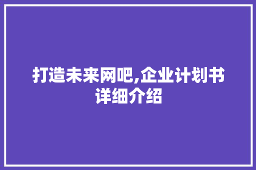 打造未来网吧,企业计划书详细介绍