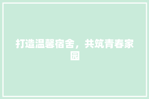 打造温馨宿舍，共筑青春家园