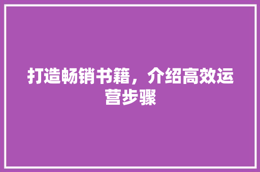 打造畅销书籍，介绍高效运营步骤