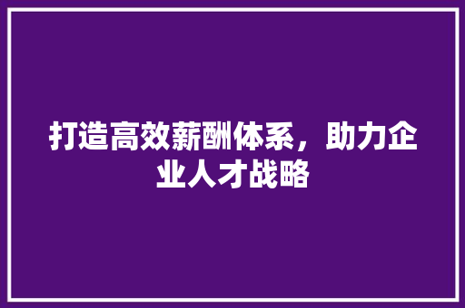打造高效薪酬体系，助力企业人才战略