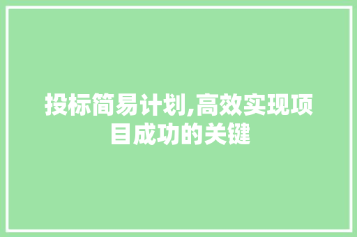 投标简易计划,高效实现项目成功的关键