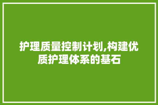 护理质量控制计划,构建优质护理体系的基石 商业文案