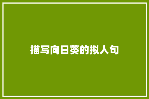 描写向日葵的拟人句 写作素材
