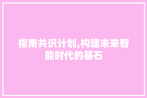指南共识计划,构建未来智能时代的基石