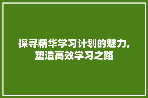 探寻精华学习计划的魅力,塑造高效学习之路