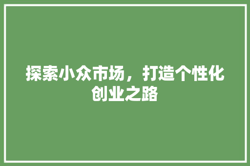 探索小众市场，打造个性化创业之路