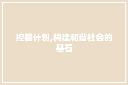 控摇计划,构建和谐社会的基石