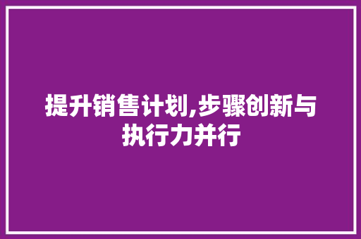 提升销售计划,步骤创新与执行力并行