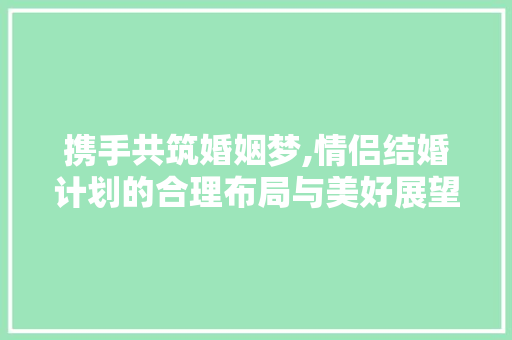 携手共筑婚姻梦,情侣结婚计划的合理布局与美好展望