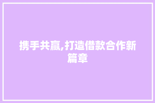 携手共赢,打造借款合作新篇章