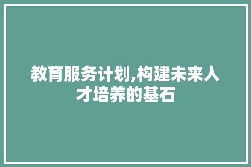教育服务计划,构建未来人才培养的基石 报告写作