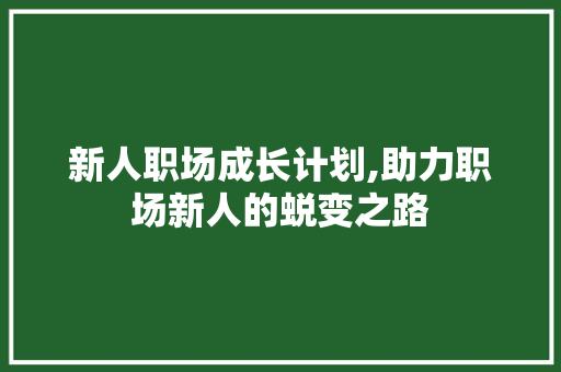 新人职场成长计划,助力职场新人的蜕变之路 词汇积累