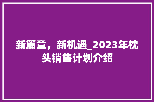 新篇章，新机遇_2023年枕头销售计划介绍