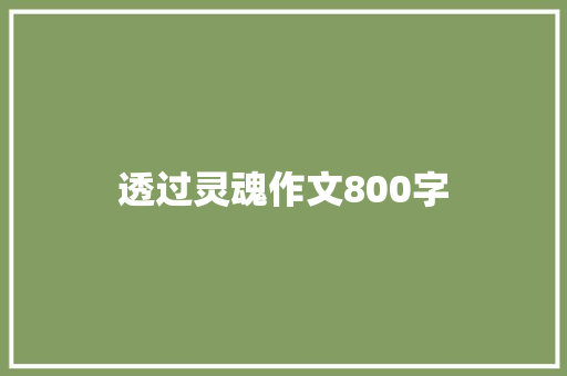 透过灵魂作文800字 词汇积累