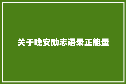 关于晚安励志语录正能量 报告写作