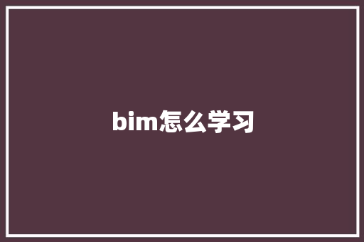 bim怎么学习