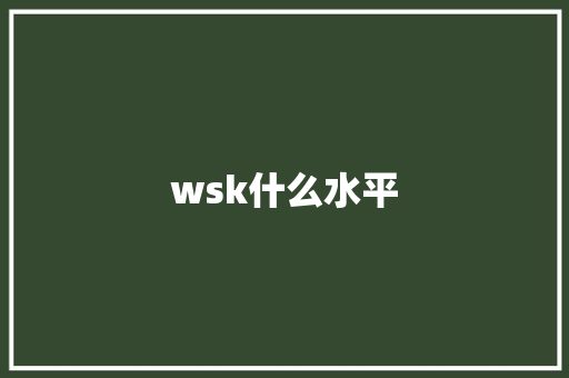 wsk什么水平