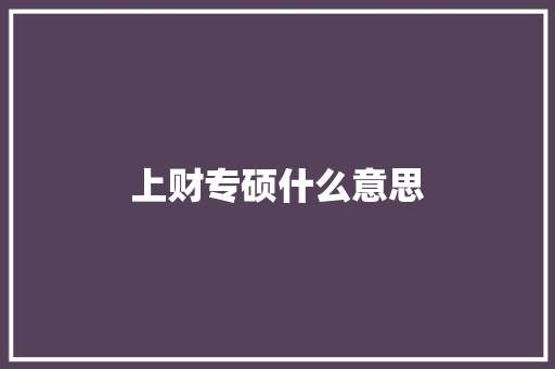 上财专硕什么意思