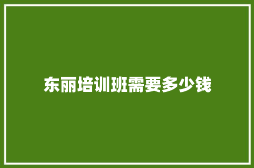 东丽培训班需要多少钱