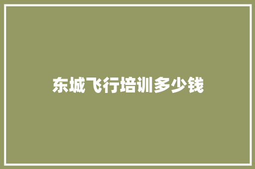 东城飞行培训多少钱