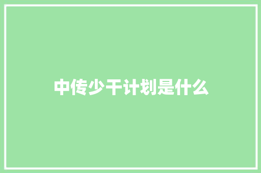 中传少干计划是什么
