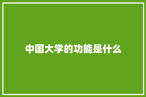 中国大学的功能是什么