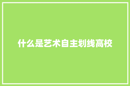 什么是艺术自主划线高校