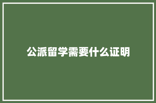 公派留学需要什么证明 简历模板