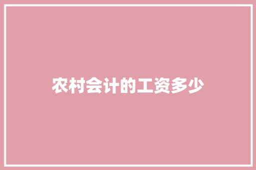 农村会计的工资多少