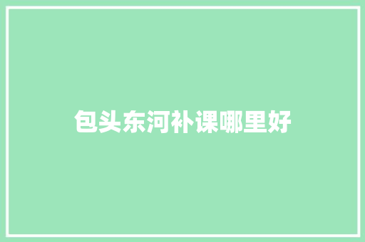 包头东河补课哪里好