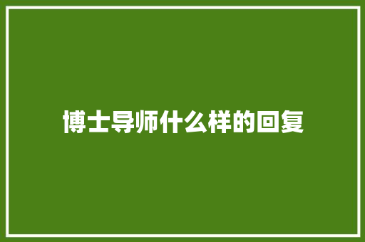 博士导师什么样的回复