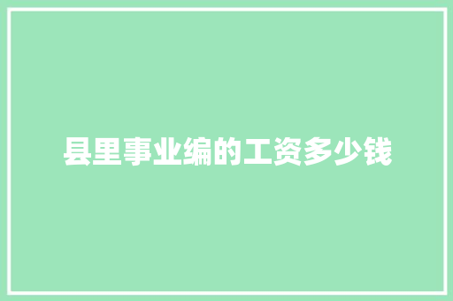 县里事业编的工资多少钱