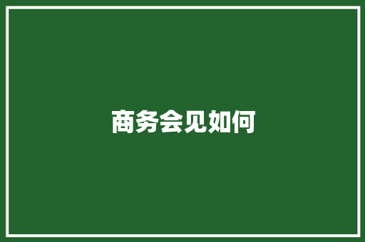 商务会见如何