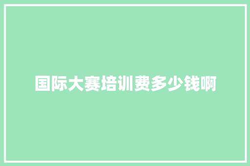 国际大赛培训费多少钱啊