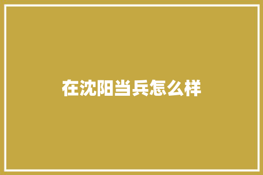 在沈阳当兵怎么样