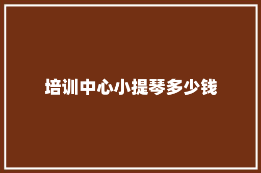 培训中心小提琴多少钱