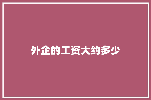 外企的工资大约多少