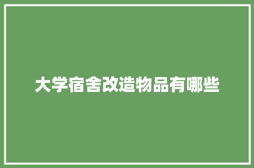 大学宿舍改造物品有哪些