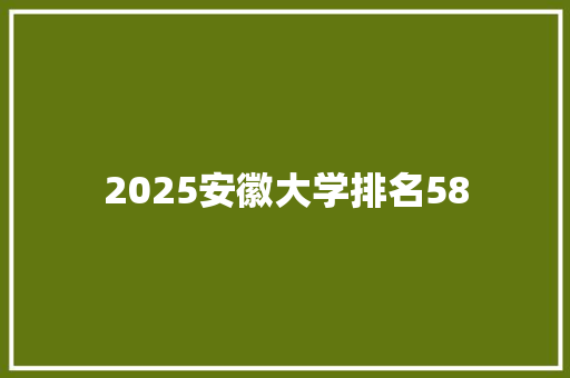2025安徽大学排名58