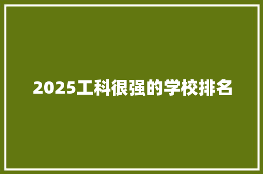 2025工科很强的学校排名