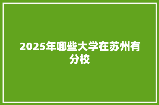 2025年哪些大学在苏州有分校