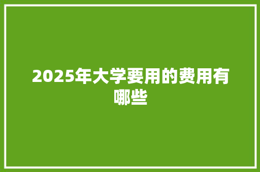 2025年大学要用的费用有哪些