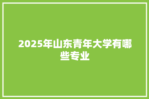 2025年山东青年大学有哪些专业