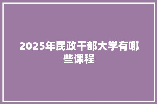 2025年民政干部大学有哪些课程 写作技巧