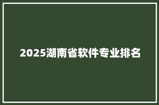 2025湖南省软件专业排名
