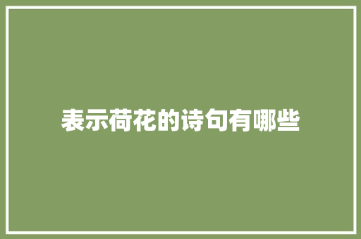 表示荷花的诗句有哪些
