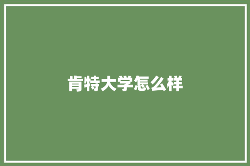 肯特大学怎么样 商业文案