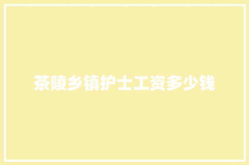 茶陵乡镇护士工资多少钱