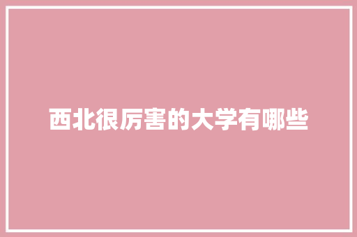 西北很厉害的大学有哪些